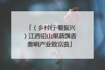 （乡村行·看振兴）江西铅山果蔬飘香 奏响产业致富曲