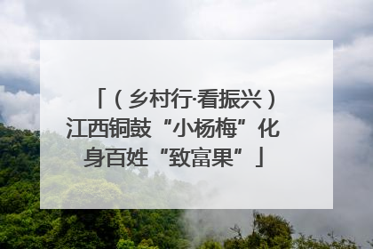 （乡村行·看振兴）江西铜鼓“小杨梅”化身百姓“致富果”