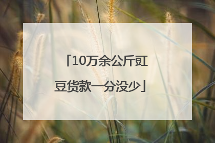 10万余公斤豇豆货款一分没少