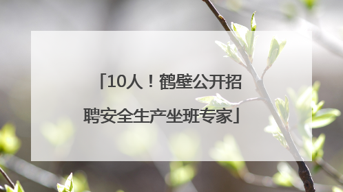 10人！鹤壁公开招聘安全生产坐班专家