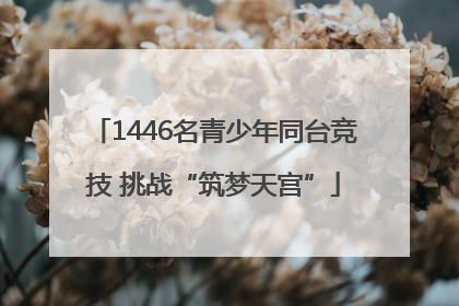 1446名青少年同台竞技 挑战“筑梦天宫”