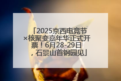 2025京西电竞节×核聚变嘉年华正式开票！6月28-29日，石景山首钢园见