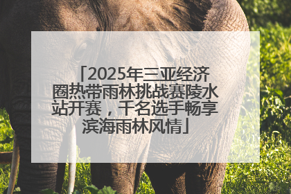 2025年三亚经济圈热带雨林挑战赛陵水站开赛，千名选手畅享滨海雨林风情