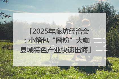 2025年廊坊经洽会：小箱包“圈粉”大咖 县域特色产业快速出海