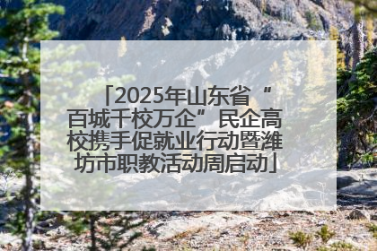 2025年山东省“百城千校万企”民企高校携手促就业行动暨潍坊市职教活动周启动