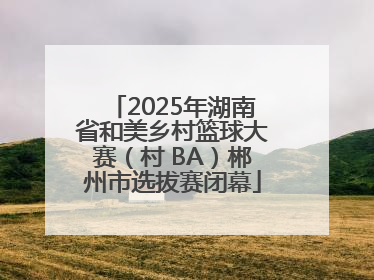 2025年湖南省和美乡村篮球大赛（村 BA）郴州市选拔赛闭幕