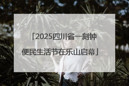 2025四川省一刻钟便民生活节在乐山启幕