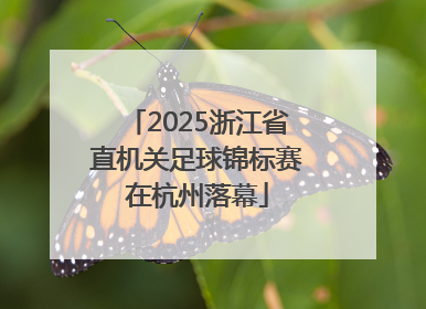 2025浙江省直机关足球锦标赛在杭州落幕