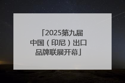 2025第九届中国（印尼）出口品牌联展开幕