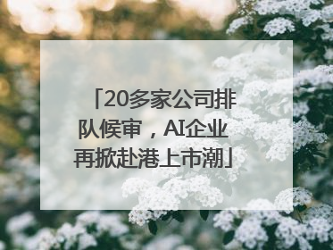 20多家公司排队候审，AI企业再掀赴港上市潮