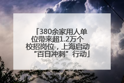 380余家用人单位带来超1.2万个校招岗位，上海启动“百日冲刺”行动