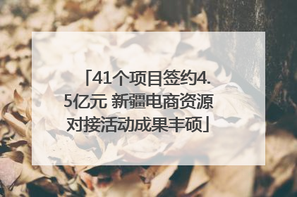 41个项目签约4.5亿元 新疆电商资源对接活动成果丰硕