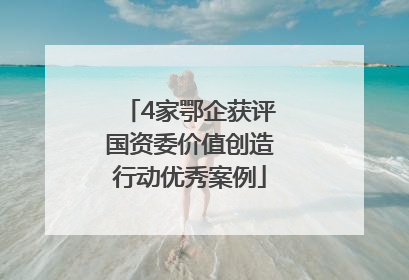4家鄂企获评国资委价值创造行动优秀案例
