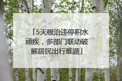 5天根治违停积水顽疾，多部门联动破解居民出行难题