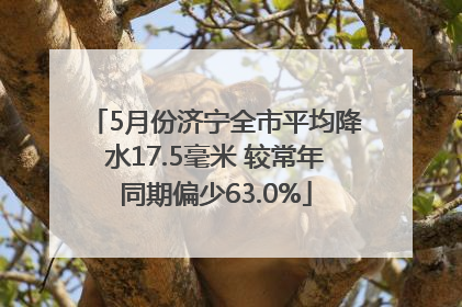 5月份济宁全市平均降水17.5毫米 较常年同期偏少63.0%