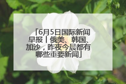 6月5日国际新闻早报丨俄美、韩国、加沙，昨夜今晨都有哪些重要新闻
