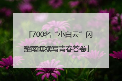 700名“小白云”闪耀南博续写青春答卷