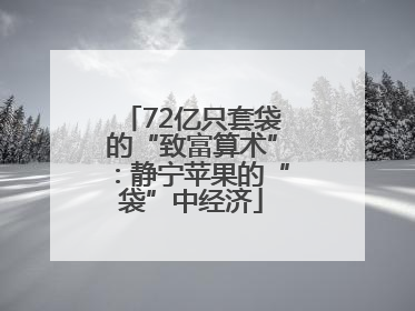72亿只套袋的“致富算术”：静宁苹果的“袋”中经济
