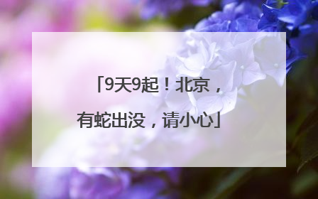 9天9起！北京，有蛇出没，请小心