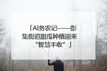 AI务农记——彭集街道甜瓜种植迎来“智慧丰收”