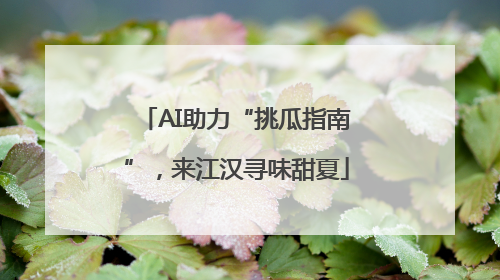 AI助力“挑瓜指南”，来江汉寻味甜夏