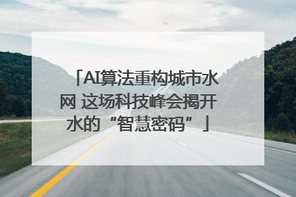 AI算法重构城市水网 这场科技峰会揭开水的“智慧密码”