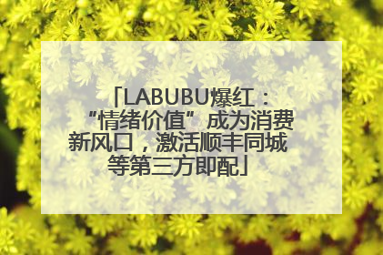 LABUBU爆红：“情绪价值”成为消费新风口，激活顺丰同城等第三方即配