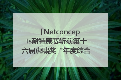 Netconcepts耐特康赛斩获第十六届虎啸奖“年度综合服务商”大奖