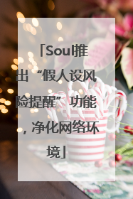 Soul推出“假人设风险提醒”功能，净化网络环境
